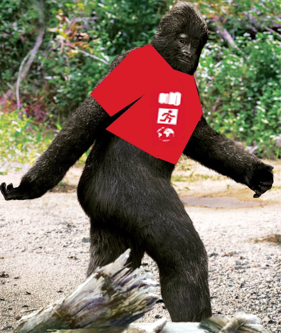 Are Millennial Mainframers as mythical as Bigfoot?